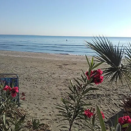 Apartment Direct Stadem Second Floor Larnaca